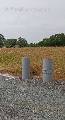 Terrain à BOIS-DE-CENE