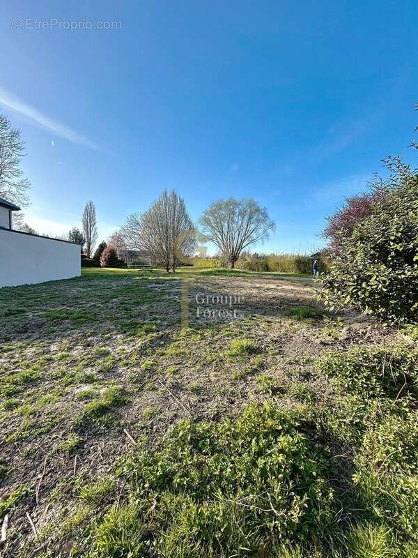 Terrain à SAILLY-LEZ-LANNOY