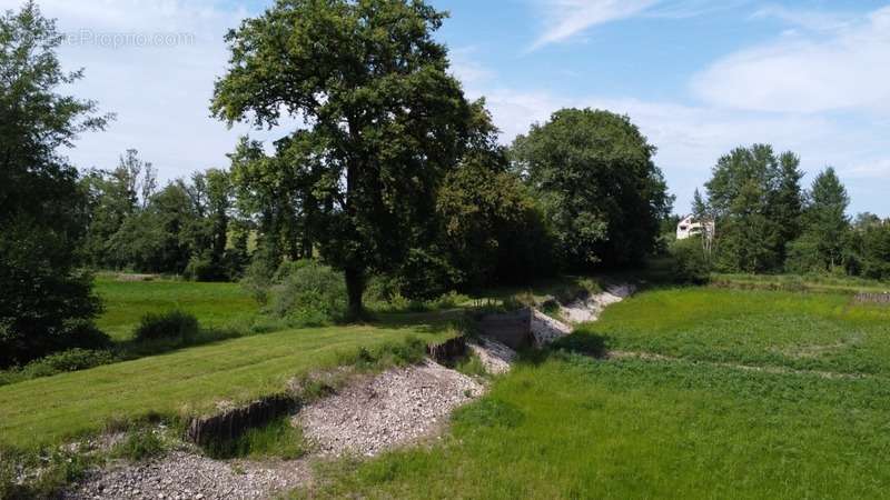 Terrain à BLETTERANS