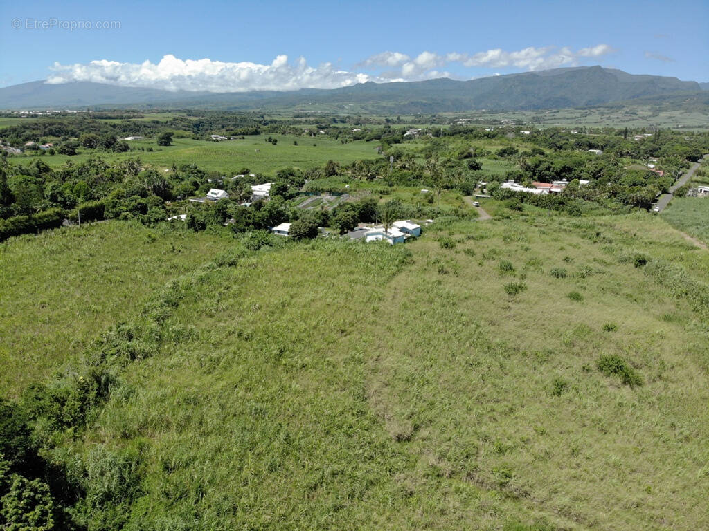 Terrain à SAINTE-SUZANNE