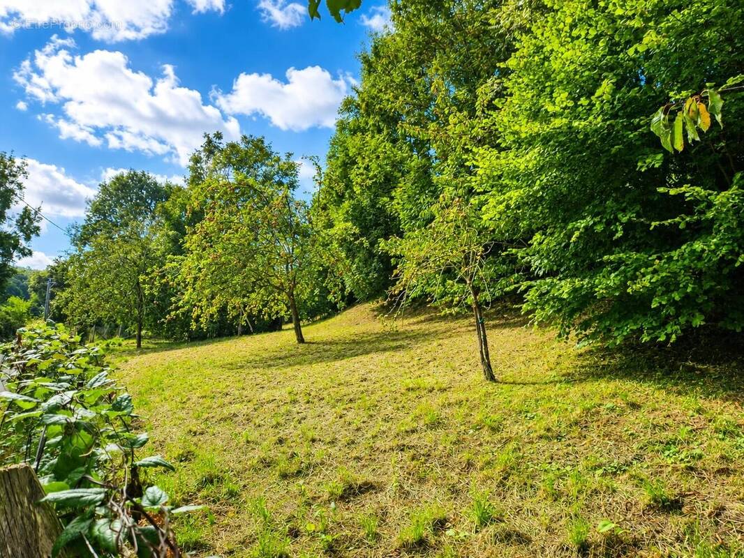 Terrain à VILLERVILLE