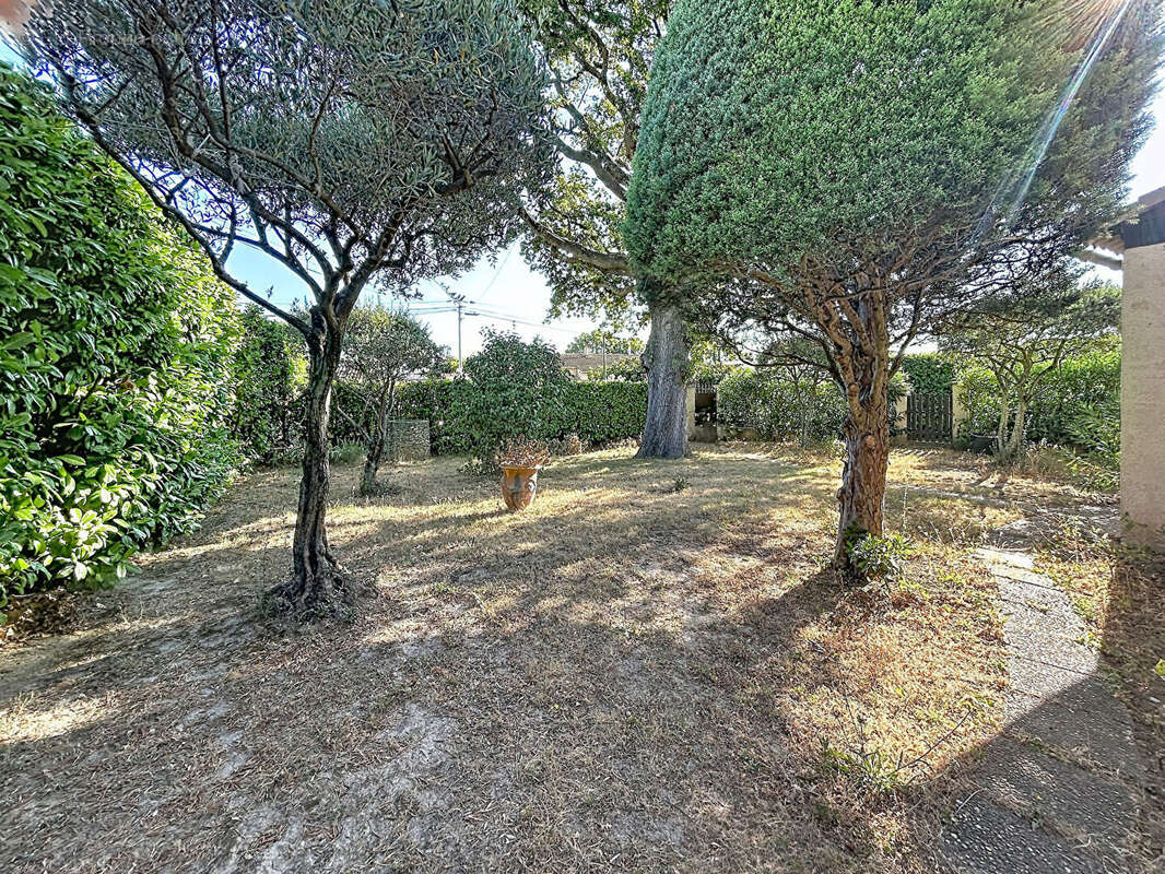 MORRIERES LES AVIGNON - Maison 115m², 4 ch dont 1 suite, garage et jardin clos - photo 2