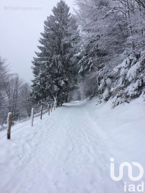 Photo 3 - Terrain à FRESSE-SUR-MOSELLE
