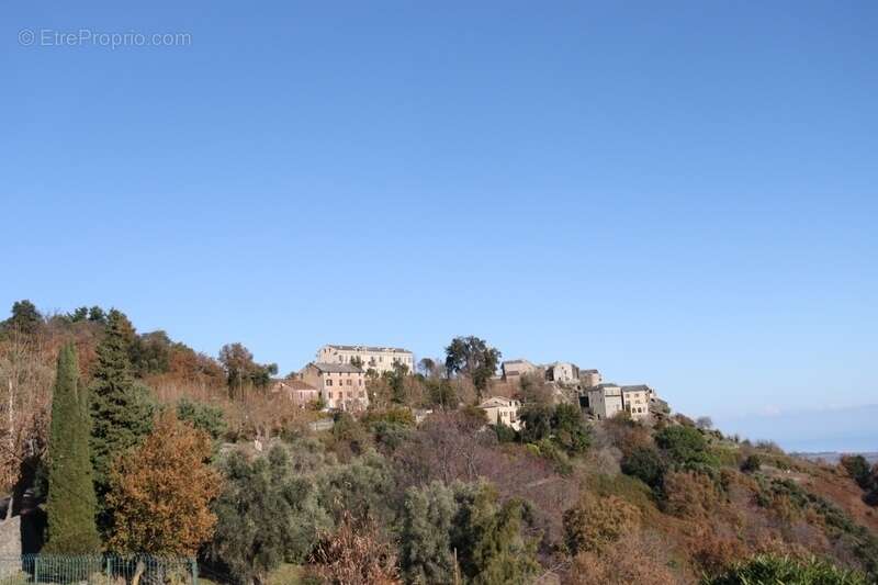 Maison 5 pièces vue panoramique  mer et montagne à PENTA DI CASINCA (20) - photo 2