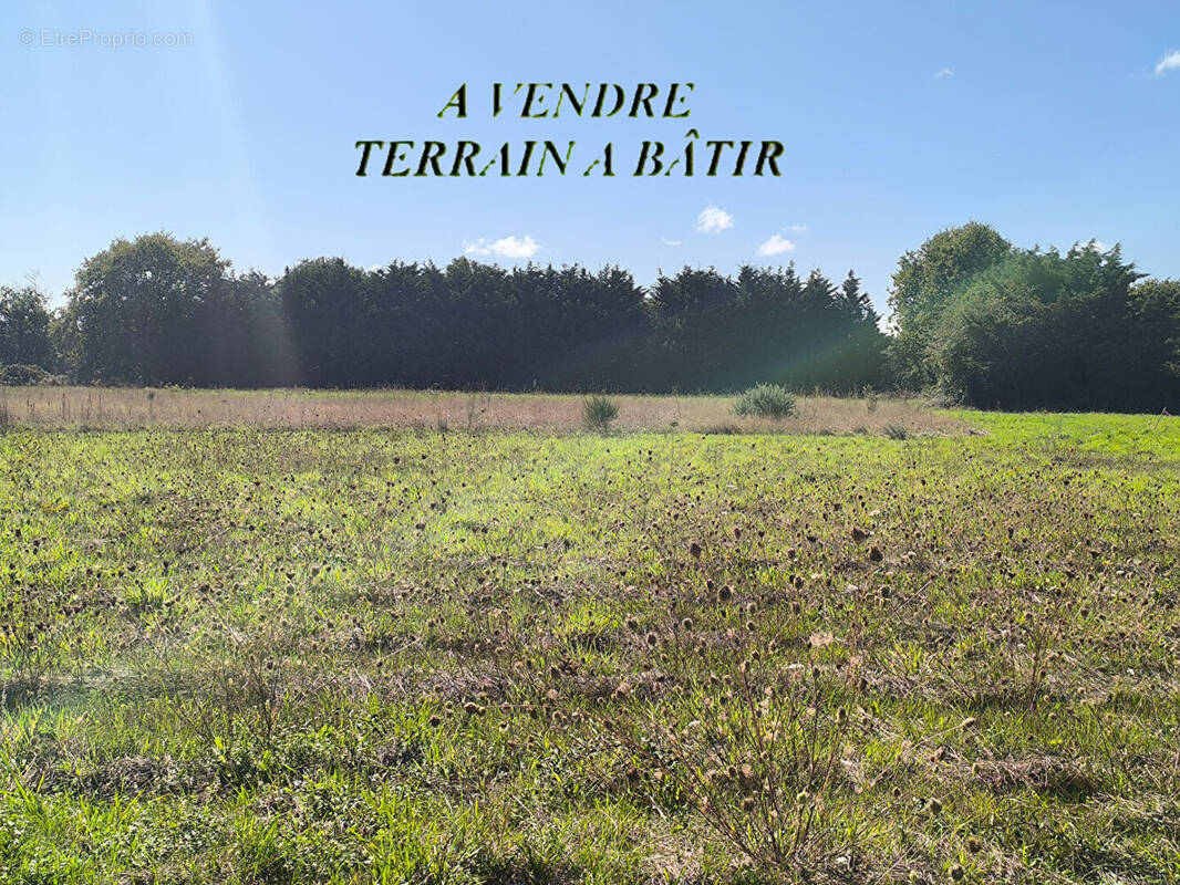 Terrain à COMMEQUIERS