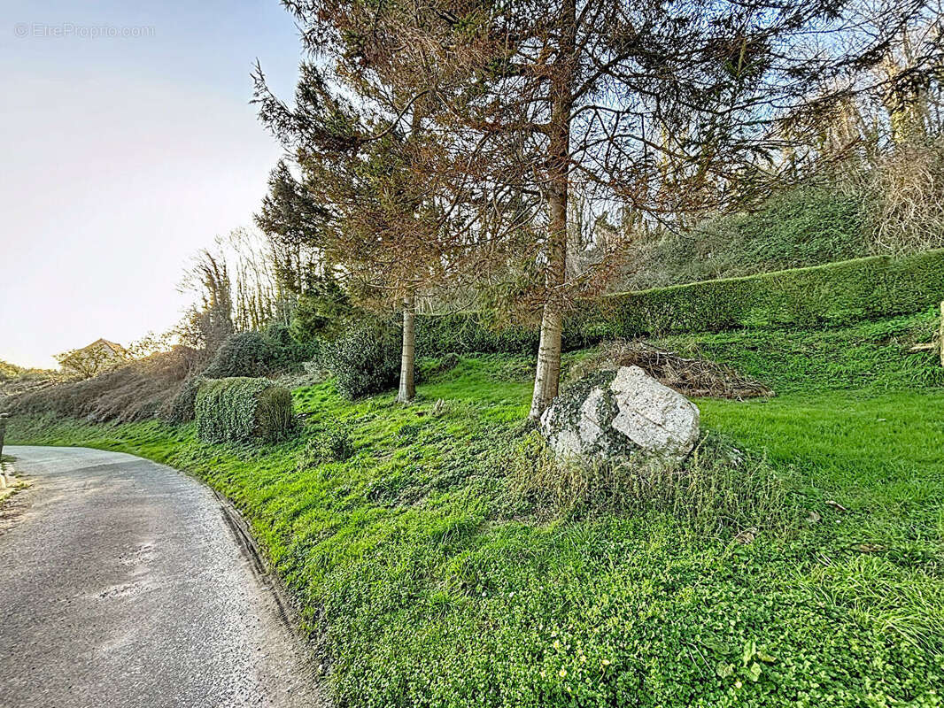 Fécamp ? Terrain à bâtir de 1 372 m² dans quartier recherché - photo 4