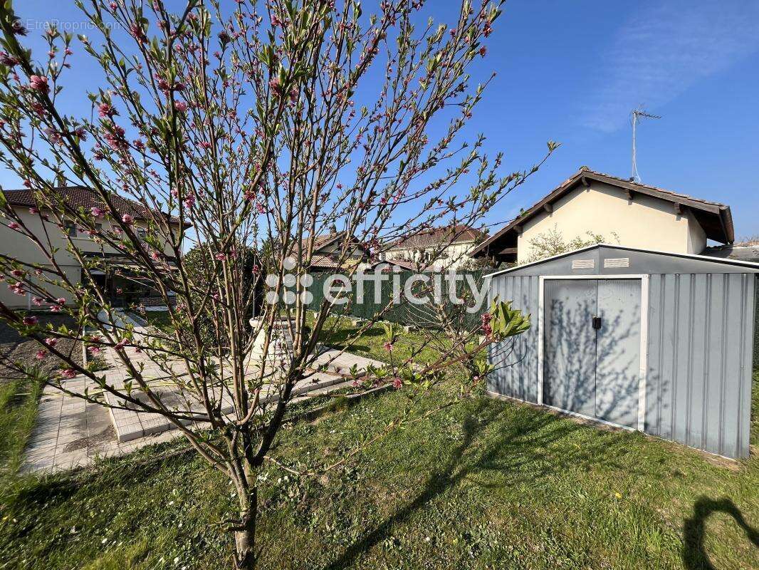 Maison à BOURG-EN-BRESSE