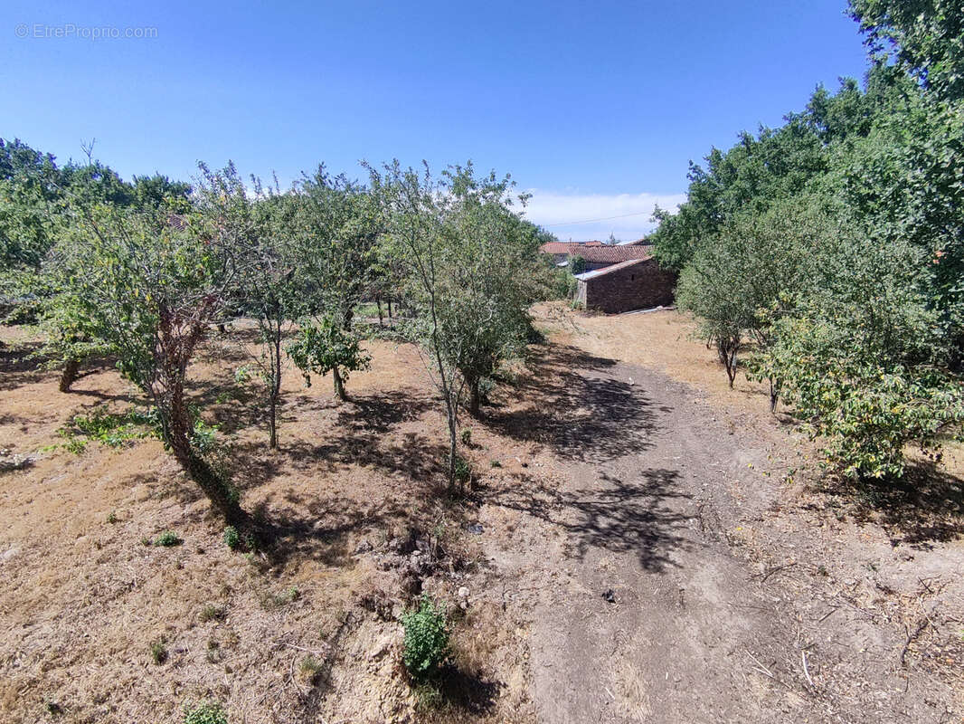 Ensemble immobilier - 2 maisons d'habitation - grange - dépendances - terrain 3453 m2 - photo 21