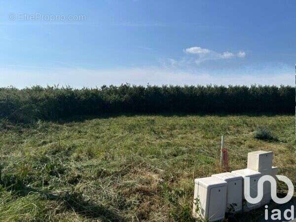 Photo 3 - Terrain à SAINT-MICHEL-CHEF-CHEF