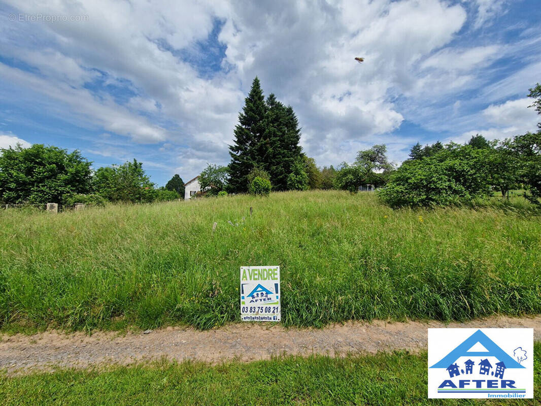 Terrain à BADONVILLER