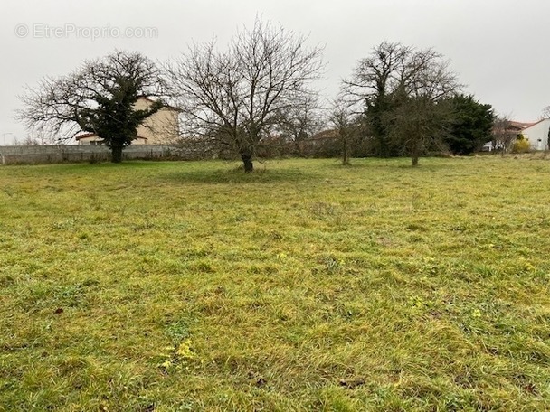 Terrain à SAINT-LAURE