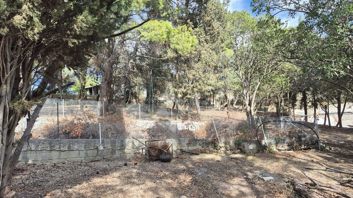 Terrain à OUVEILLAN