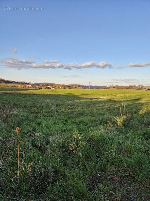 Terrain à ROULLET-SAINT-ESTEPHE