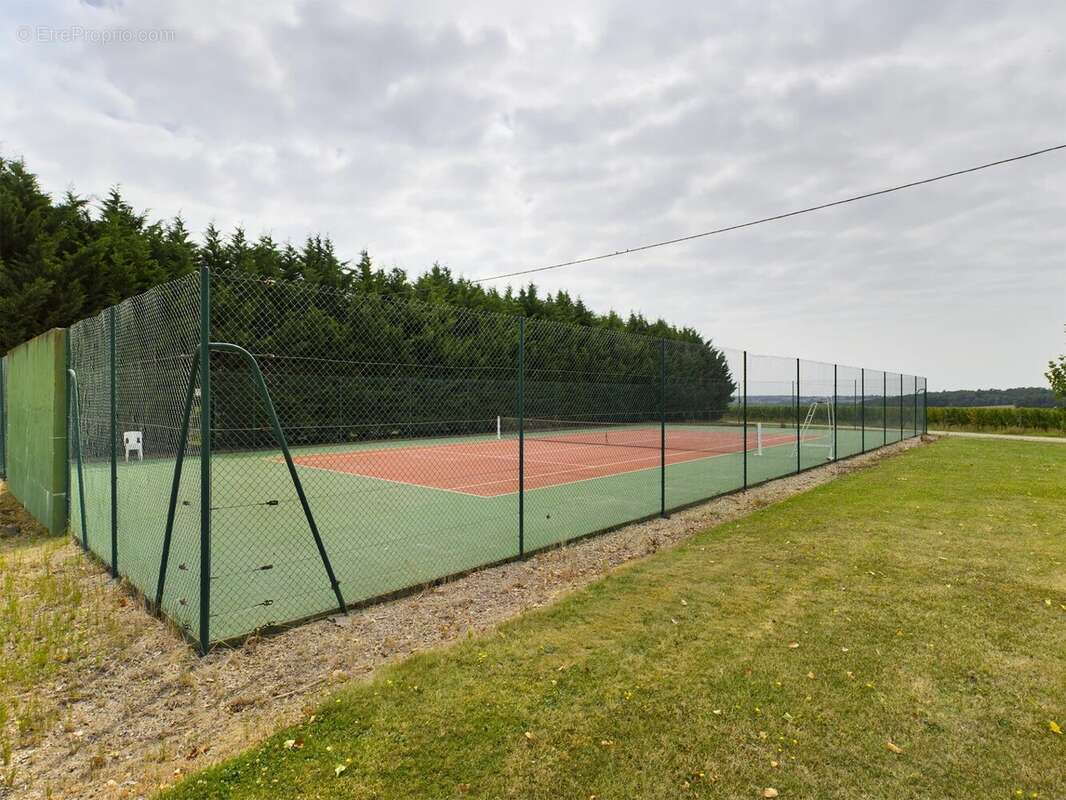 Domaine avec vignoble en activité, maison familiale, gîte, piscine et court de tennis - photo 20