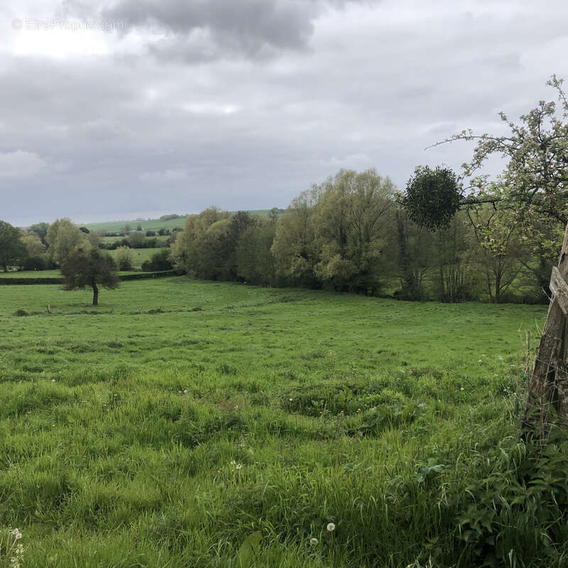 Maison à FOUCARMONT