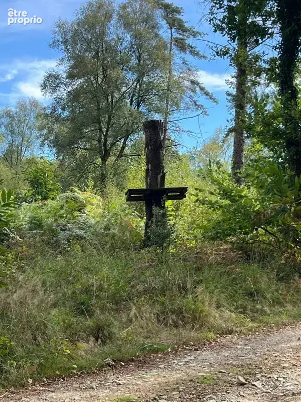 À vendre – argol – finistère – presqu’île de crozon-exceptionnel terrain de loisirs de 40 000 m² - photo 15