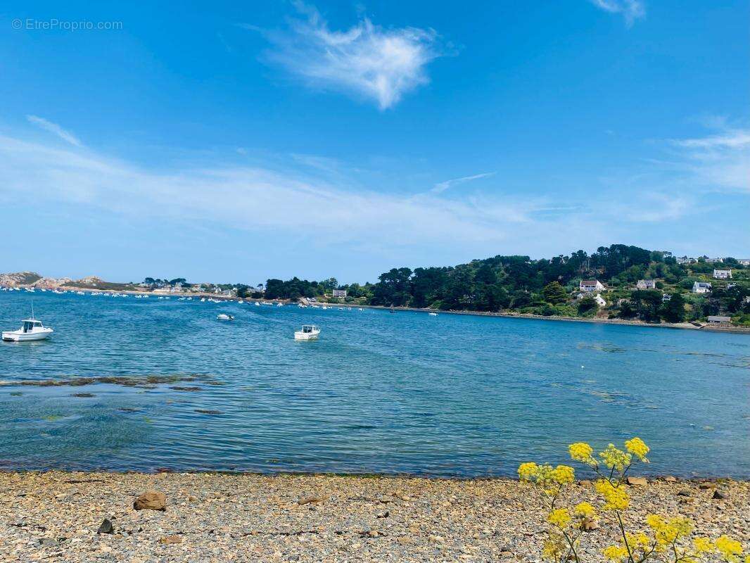 Emplacement coup de cœur à Plougasnou, vue mer et mer à pied - photo 20