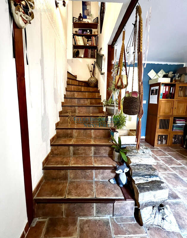 Maison à SAINT-ANDRE-DE-SANGONIS