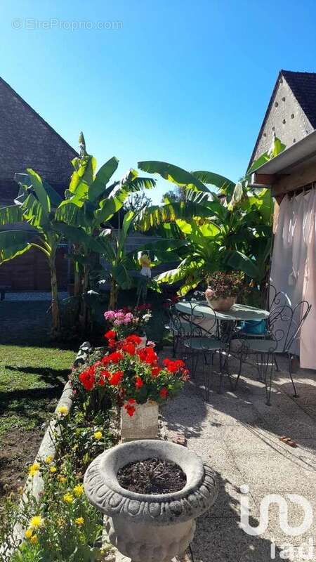 Photo 7 - Maison à NEUVY-SAUTOUR