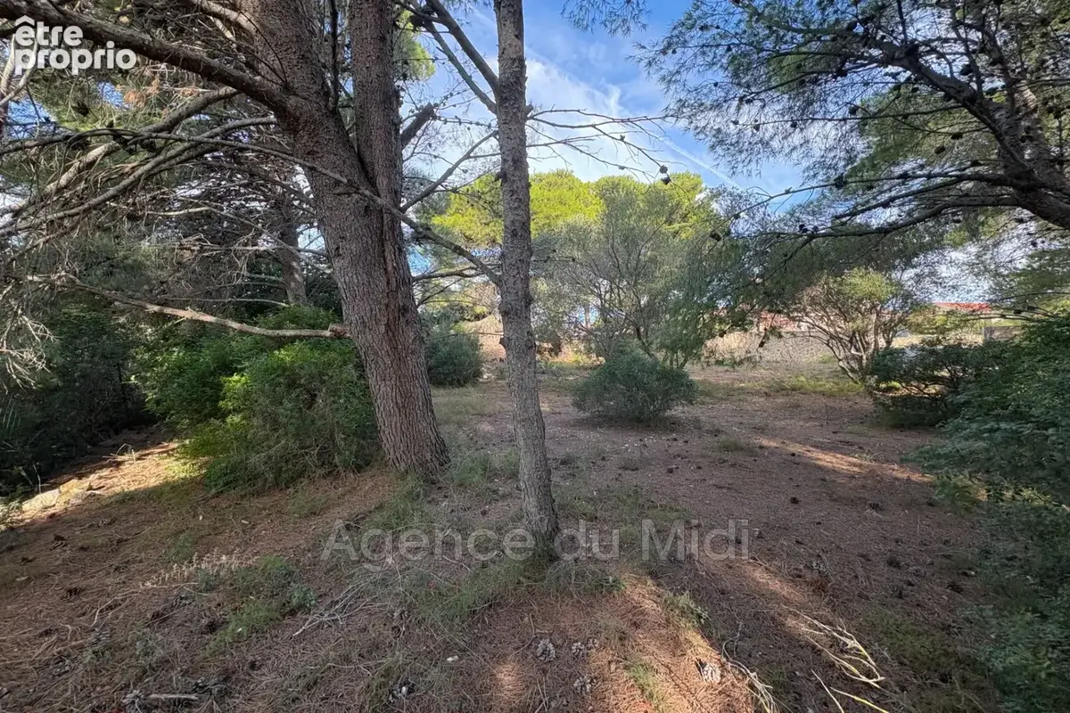 Terrain 702 m² à vendre à Leucate (11370) - photo 5