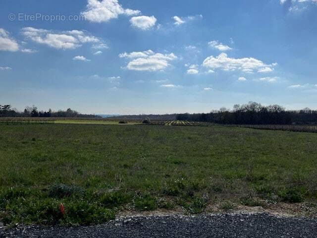 Terrain à LOUZAC-SAINT-ANDRE