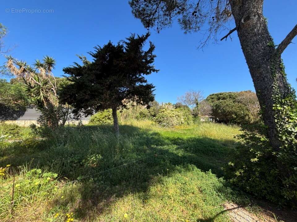 Terrain 880 m² à Hyeres  - photo 3