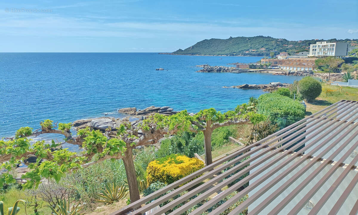 30 minutes d'AJACCIO - Immeuble de 6 appartements pieds dans l'eau - photo 30