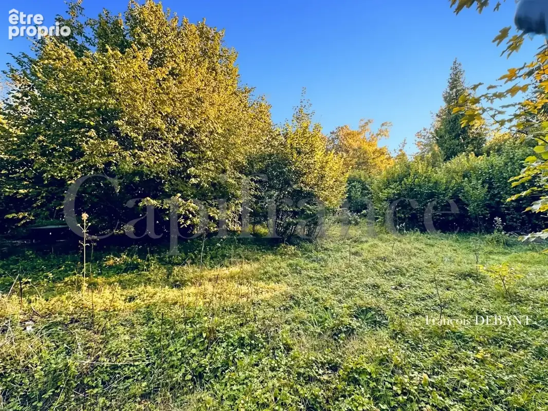Terrain à vendre de 4 900,00 m² proche de REIMS (51) - photo 9