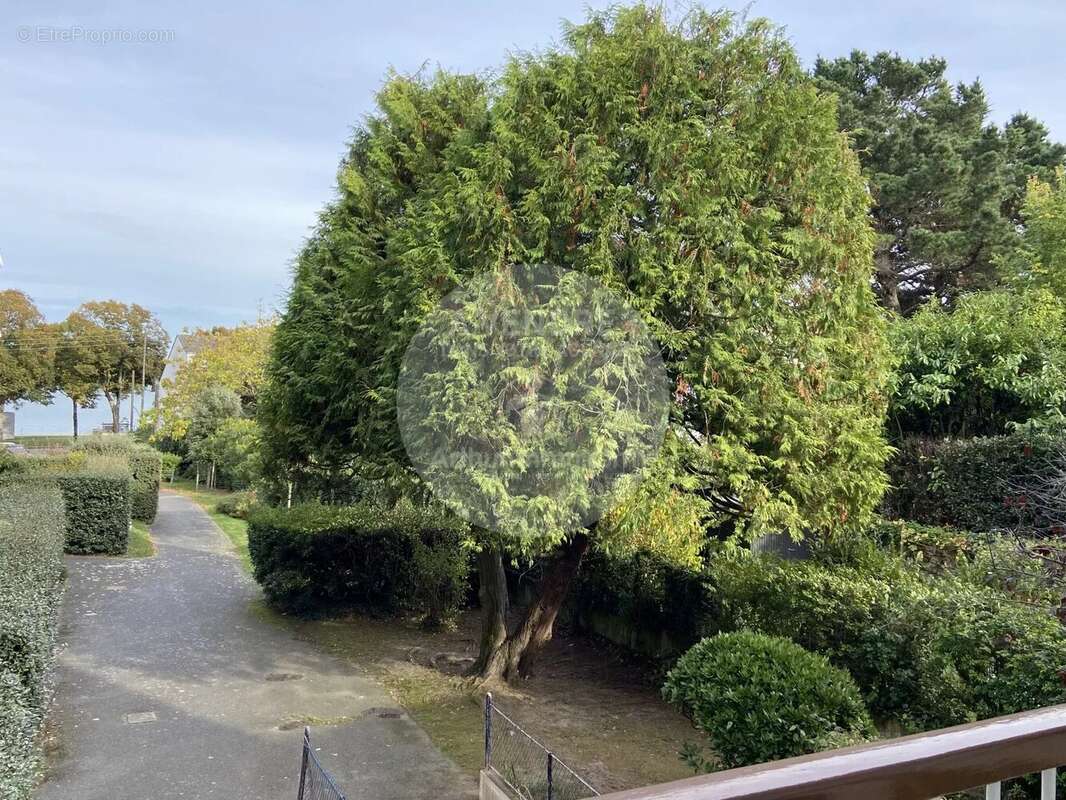 Appartement T3 traversant avec vue mer, bd Albert 1er - photo 3
