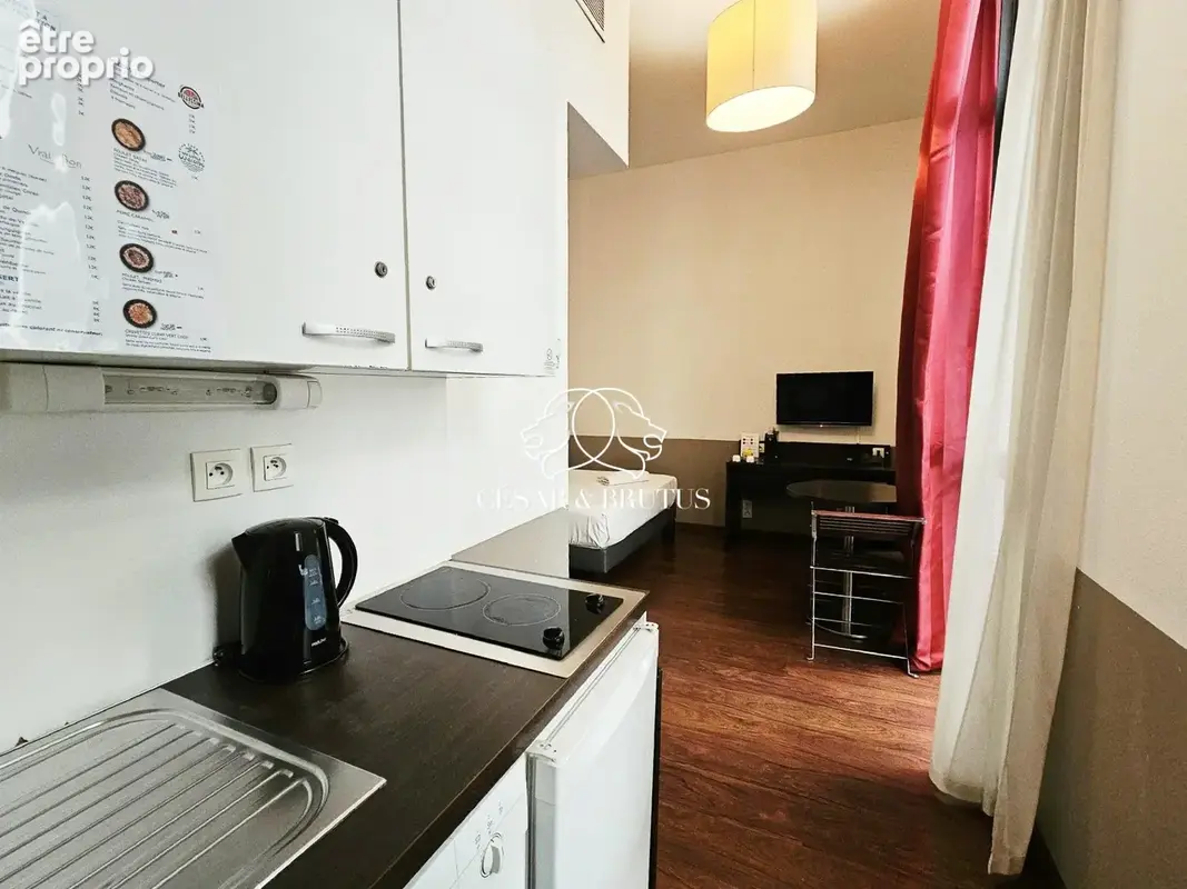 Appartement 20 m² à Lyon-3e  - photo 7