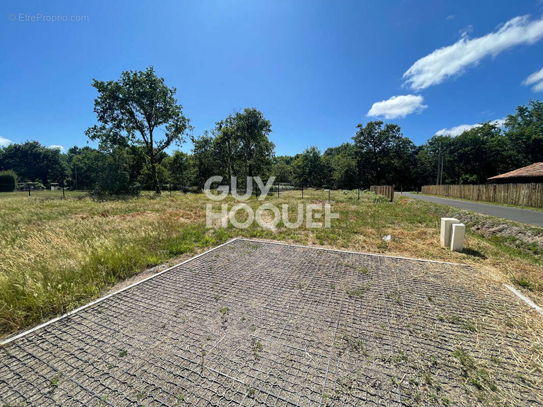 Terrain à PARENTIS-EN-BORN