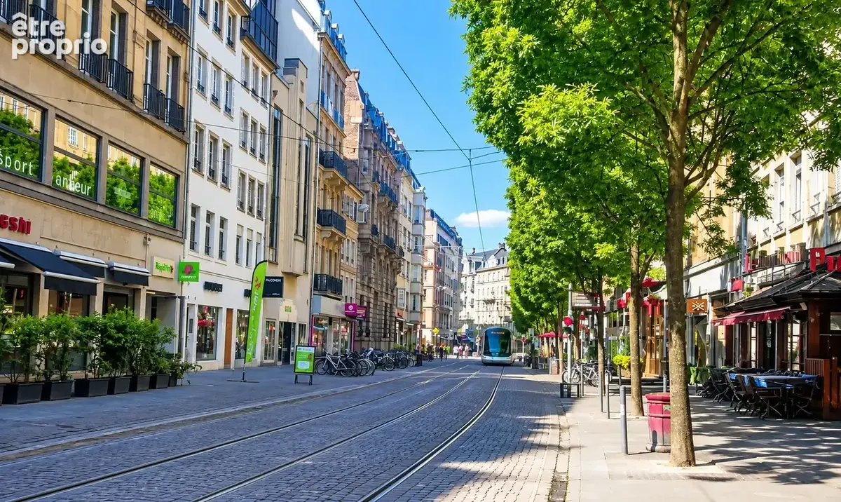 Photo Autres à Strasbourg au prix de 477 000€