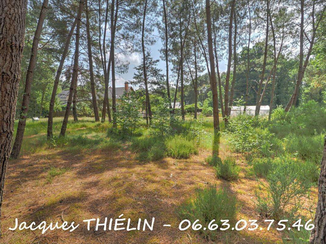 Maison à LONGUE-JUMELLES