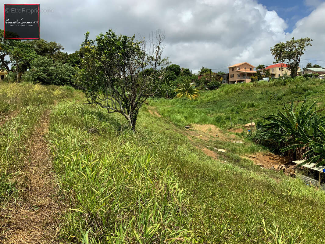 Terrain à SAINTE-MARIE
