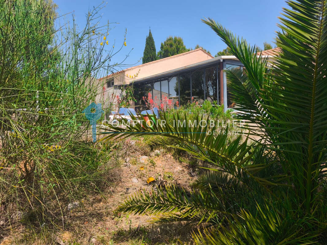 Maison individuelle à LA PALME - photo 3
