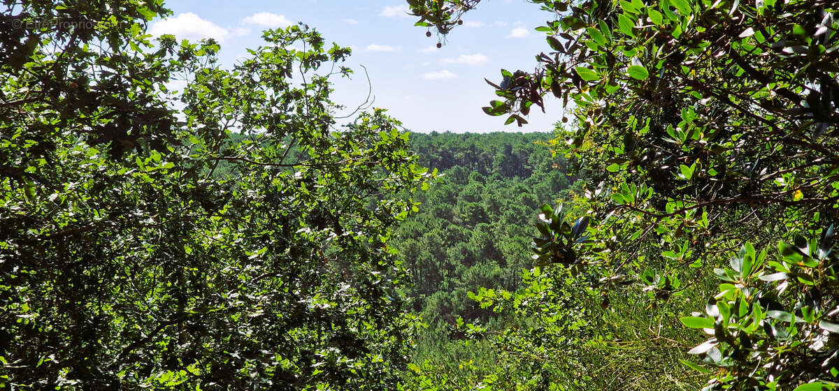 Maison à LE BOUSCAT