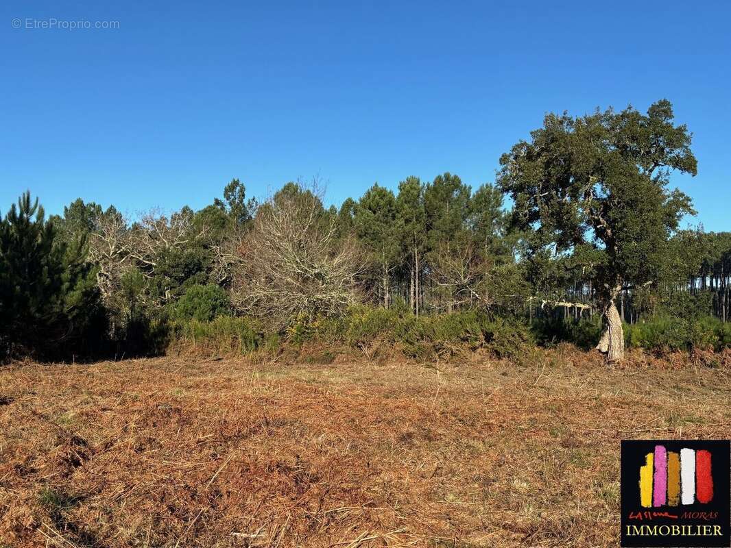 Terrain à MOLIETS-ET-MAA