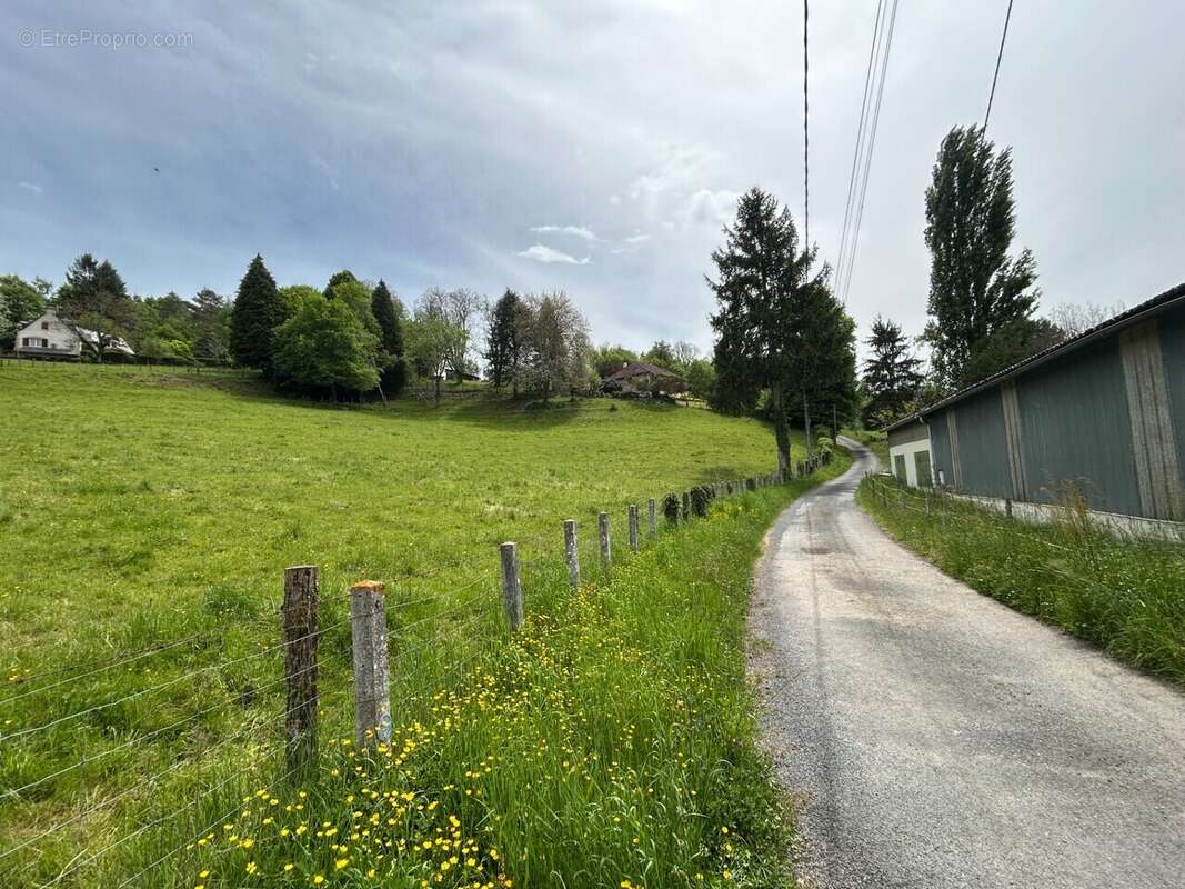 Terrain à SAINTE-FORTUNADE