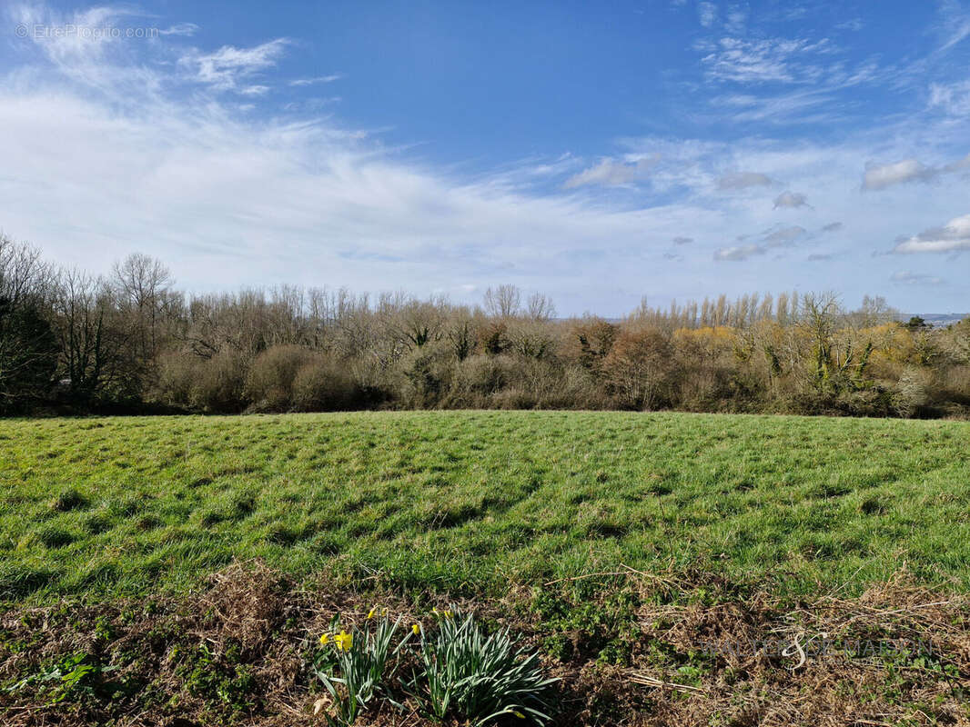 Terrain à LOGONNA-DAOULAS
