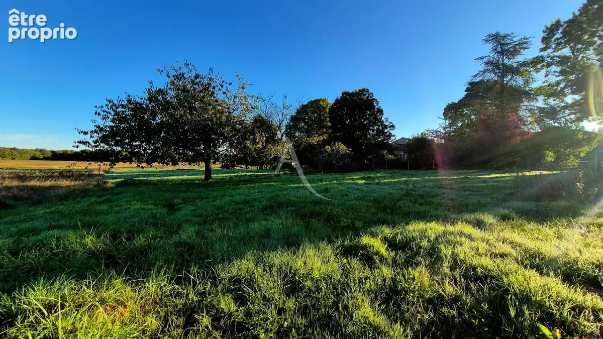 Terrain constructible à vendre " non viabilisé " à Ecoyeux de 3140m² - photo 3
