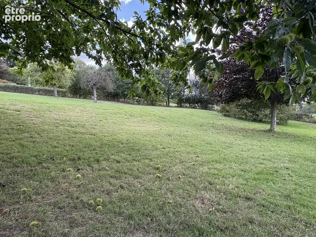 Pavillon de plain pied avec 1 hectare - photo 12