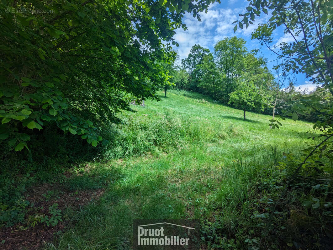 Terrain à SAINT-GENIEZ-D'OLT