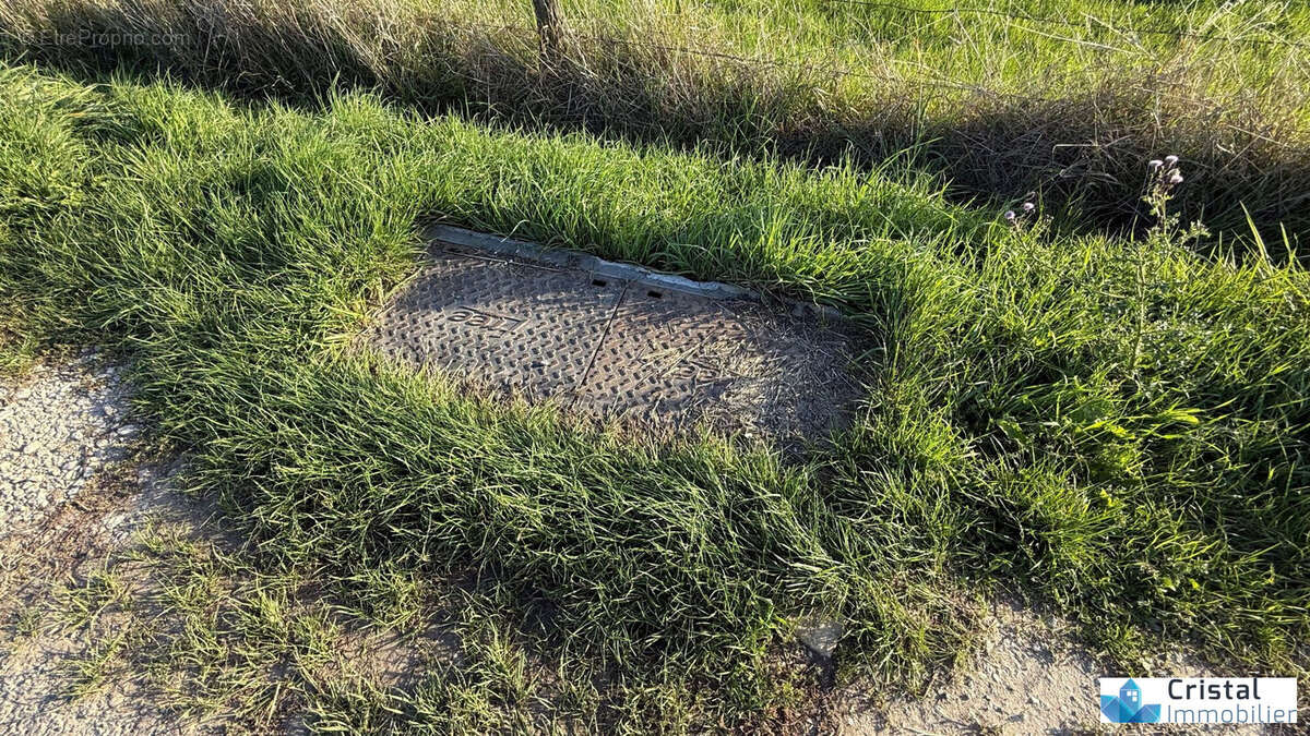 Terrain à KIRSCHNAUMEN