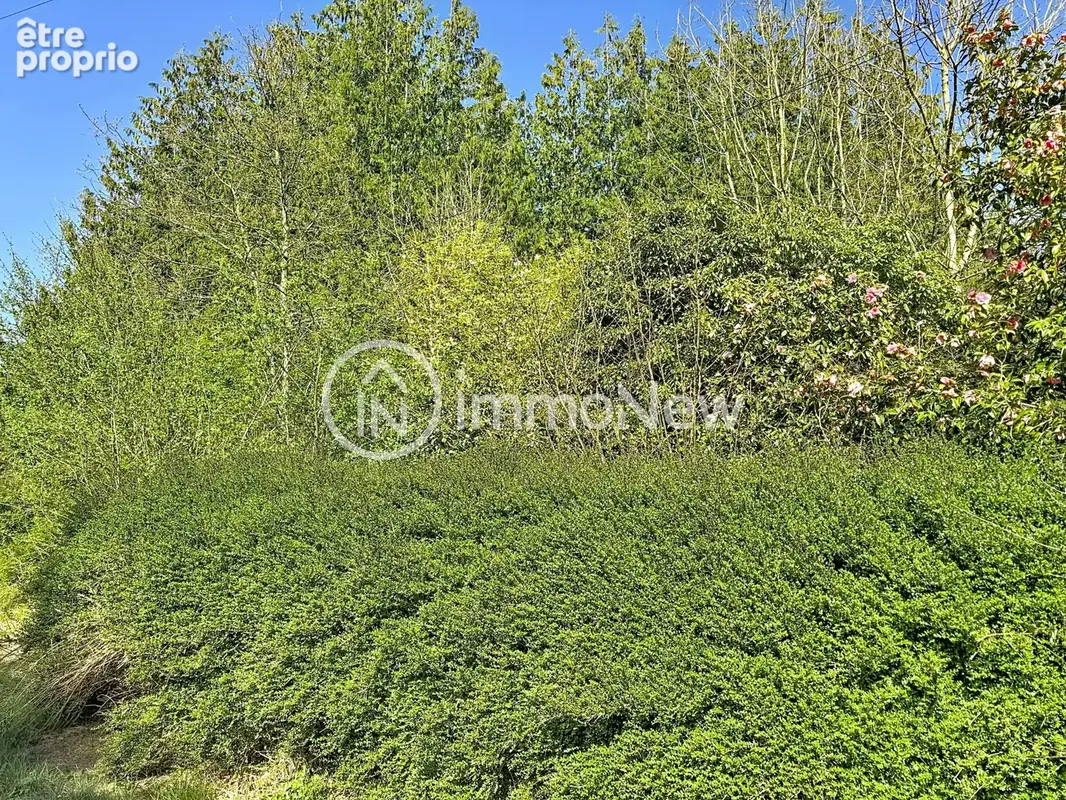 Longere 150 m2 au sol a renover sur terrain 3000 m2 environ apres bornage - photo 10
