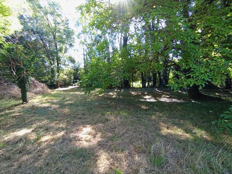 Maison à CELLES-SUR-BELLE