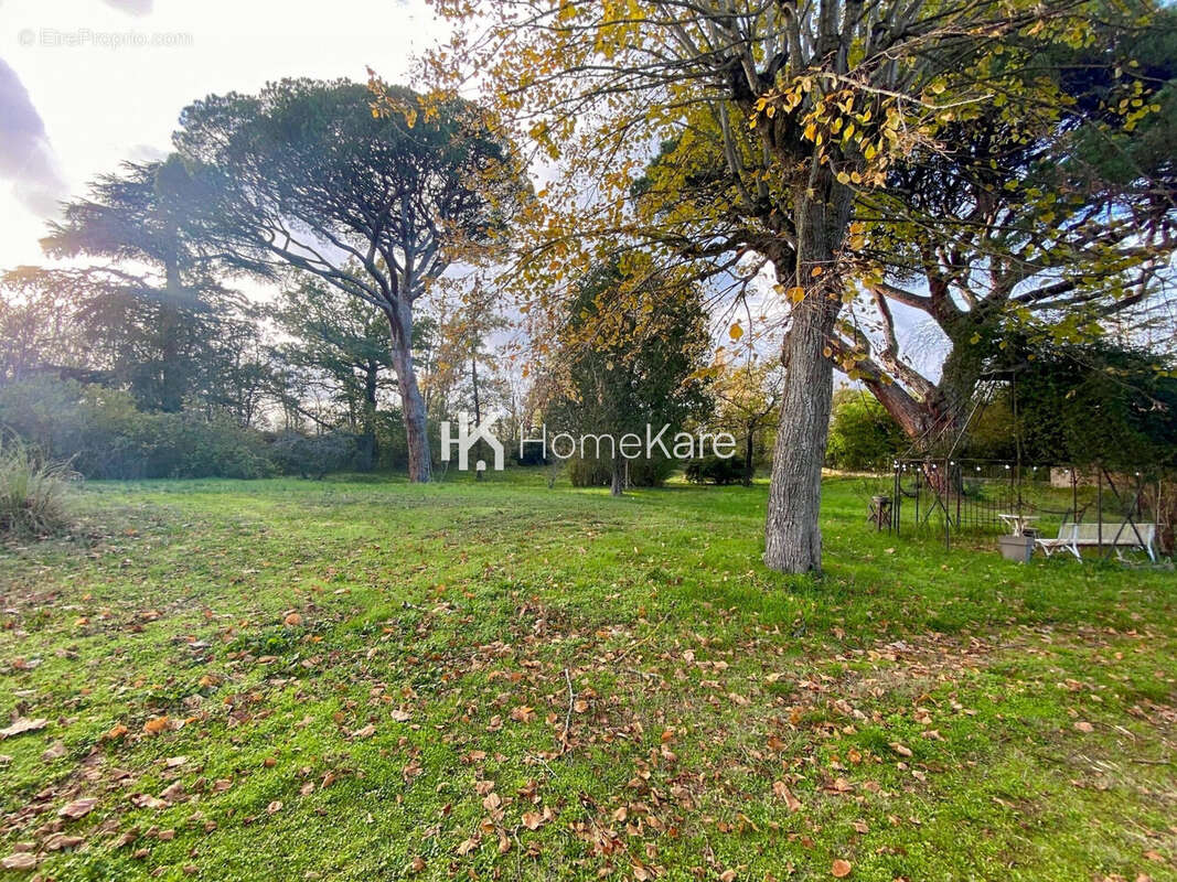 Commerce à TOULOUSE