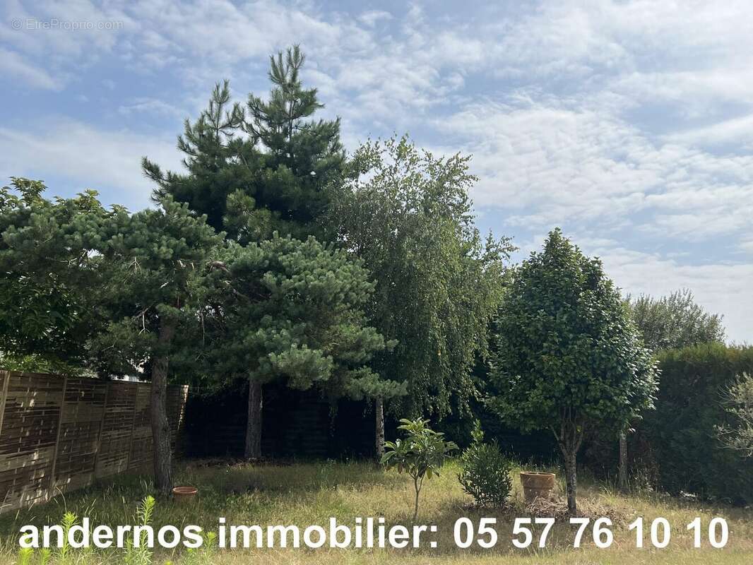 Terrain à ARES
