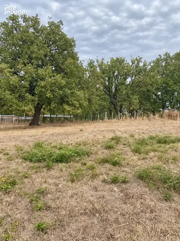 Terrain 719 m² à vendre à Rapale (20246) - photo 8