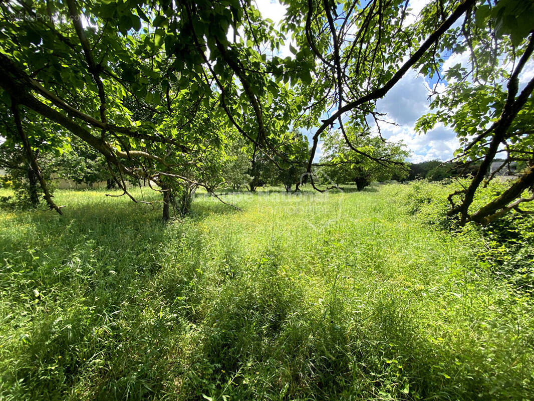 Terrain à VERFEUIL