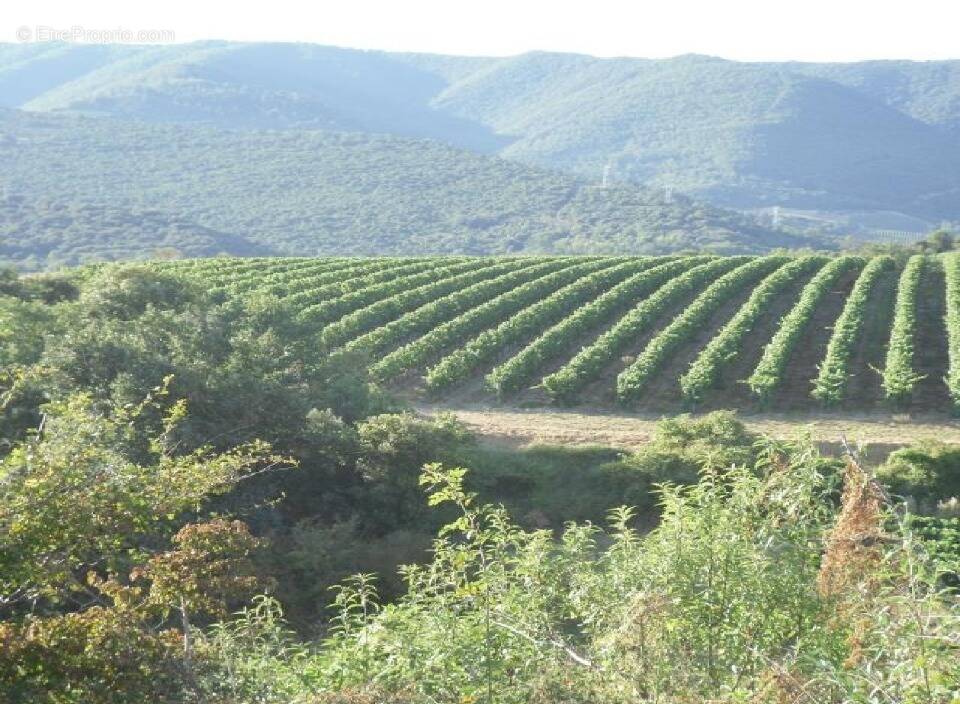 Terrain à COURNANEL